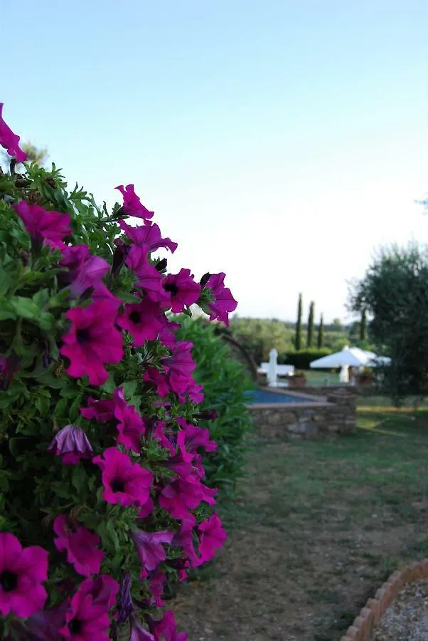 Villa Sara Suvereto Farm stay